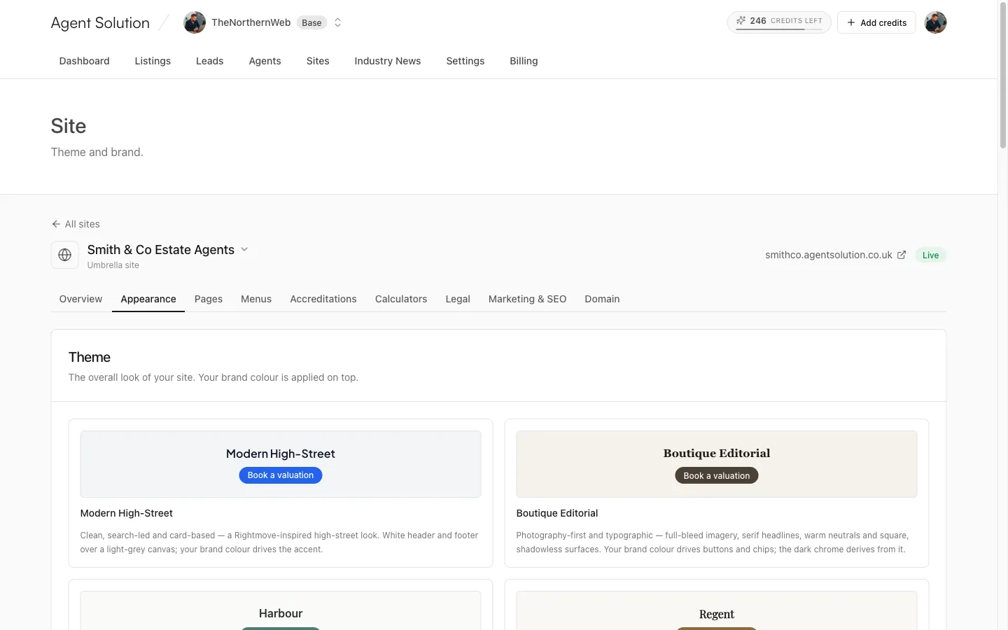 The Appearance tab's theme picker showing theme preview cards