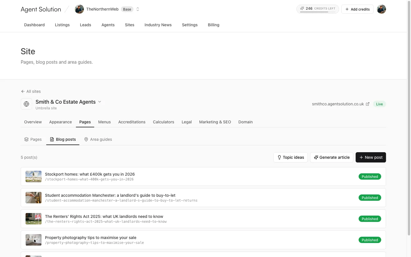 The Blog posts sub-tab with Topic ideas, Generate article and New post buttons