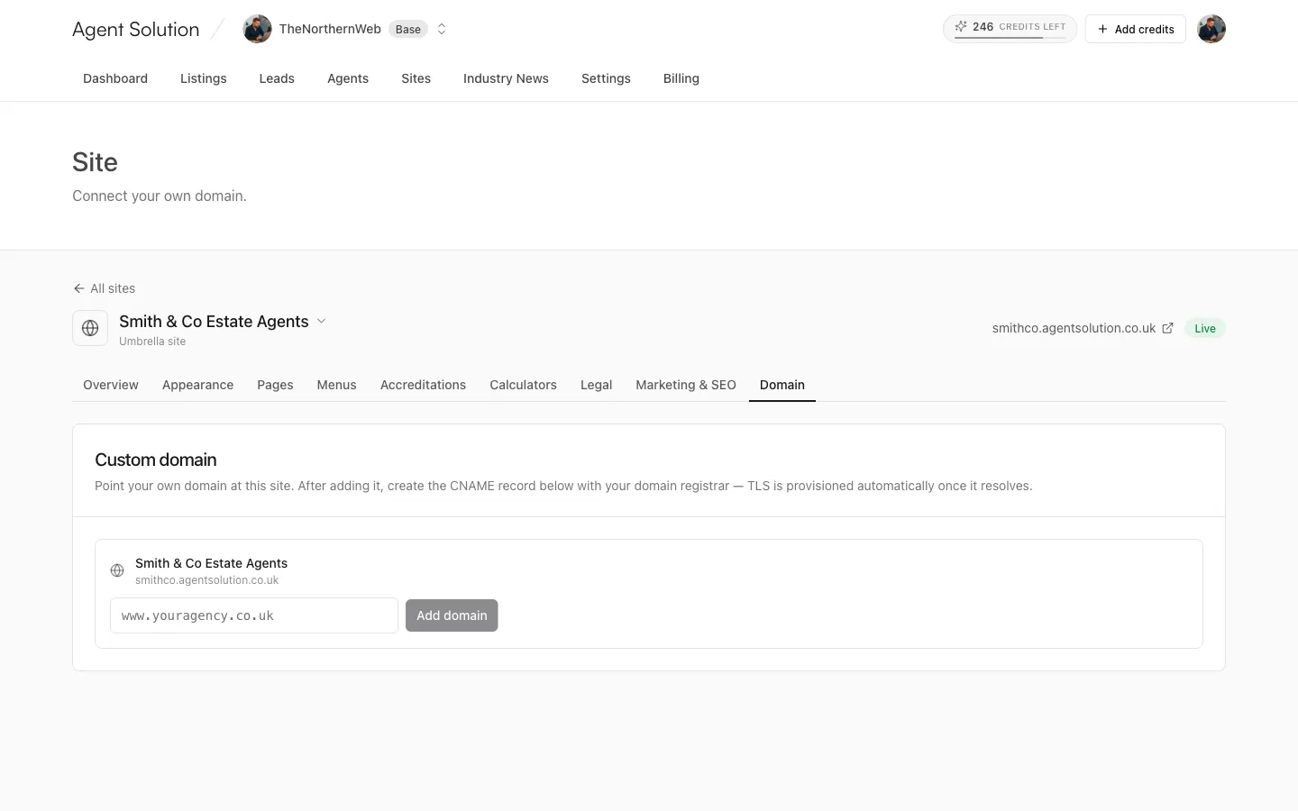 The Domain tab ready to add a custom domain for the site