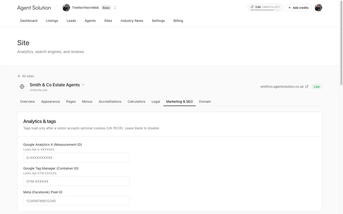 The Marketing and SEO tab: analytics and tags, search engines and AI, social sharing and Google Business Profile cards